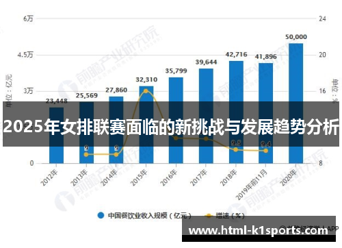 2025年女排联赛面临的新挑战与发展趋势分析